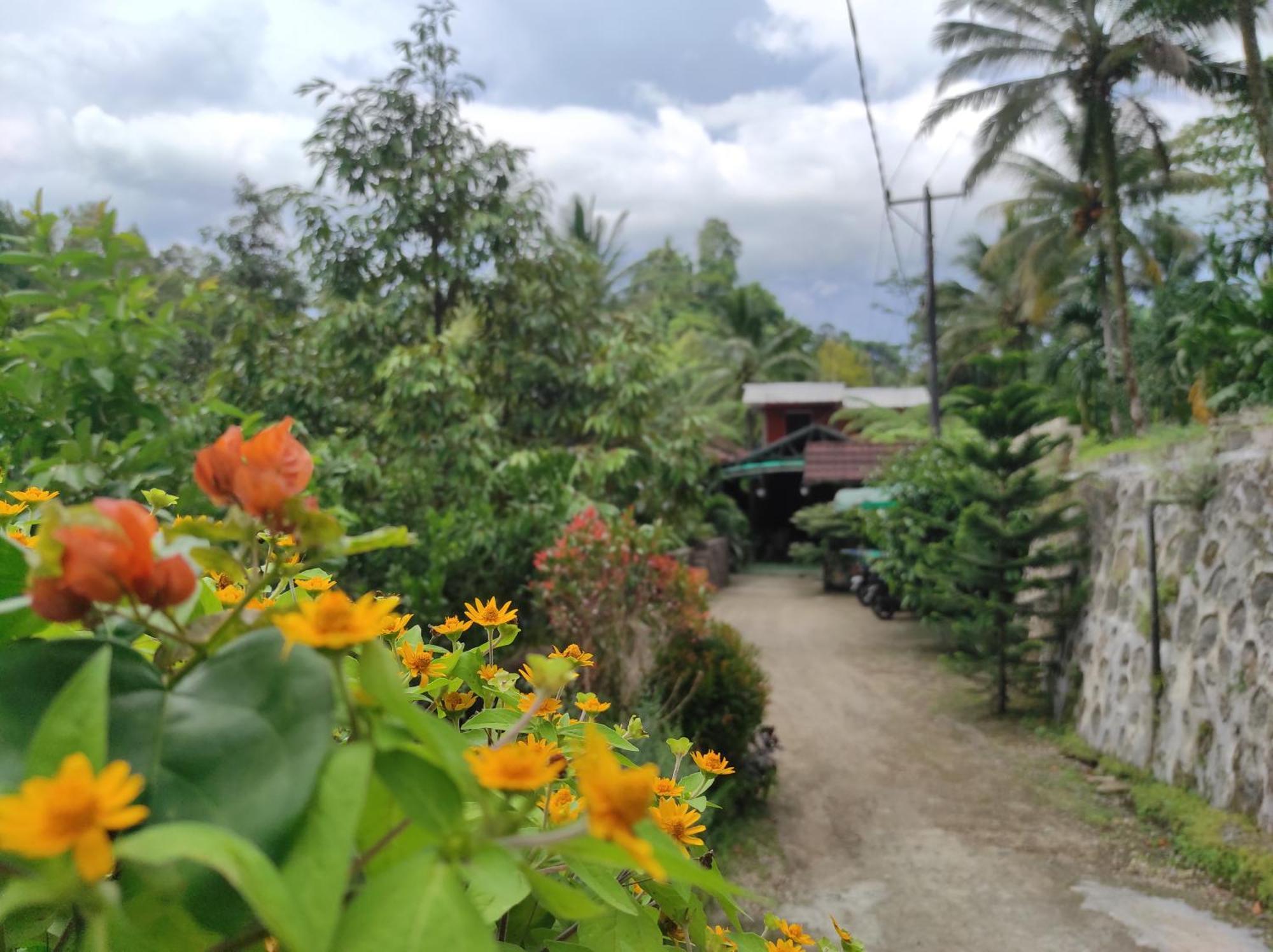 Goa Walet Cottage プラヤ エクステリア 写真