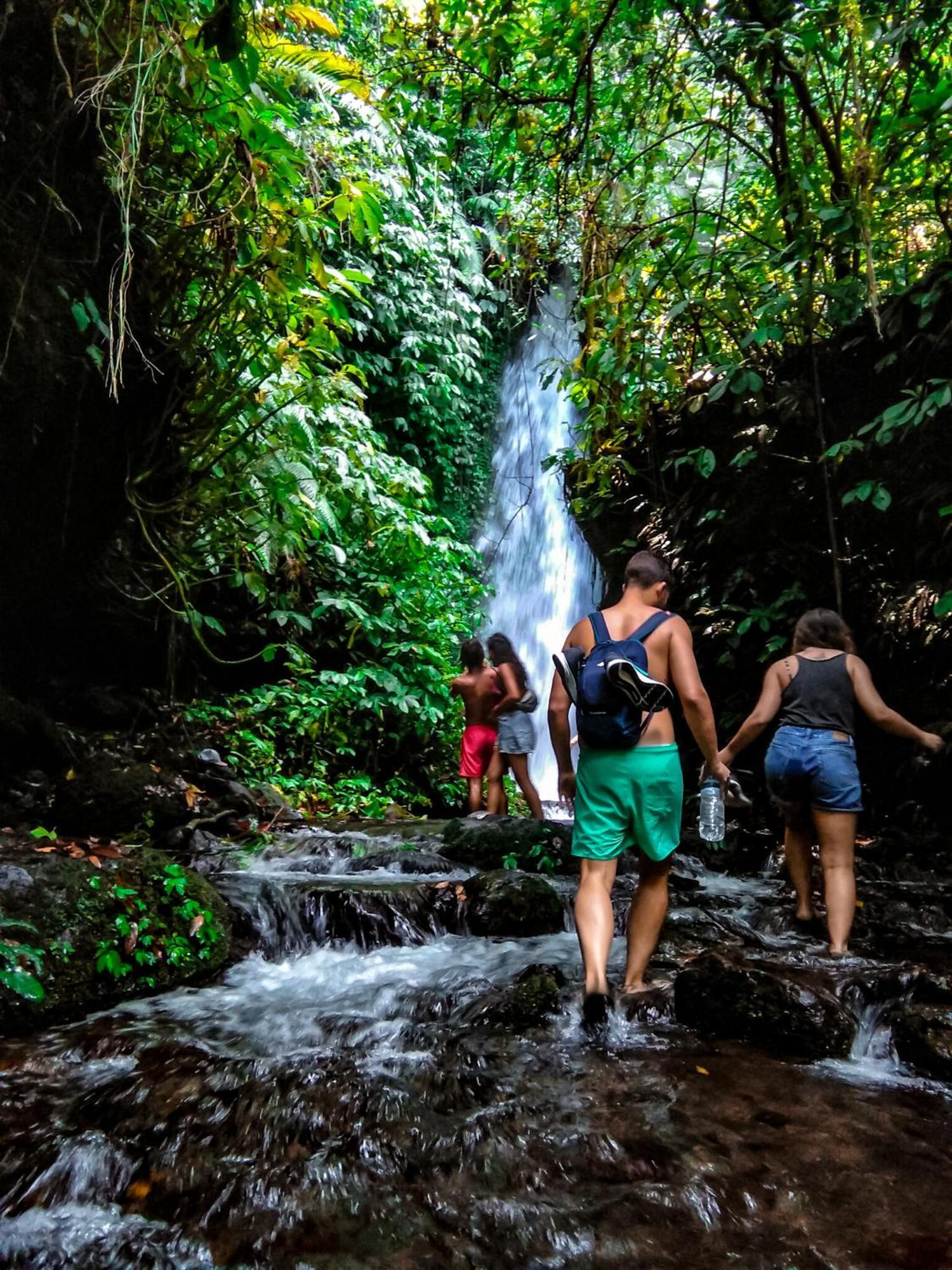 Goa Walet Cottage プラヤ エクステリア 写真