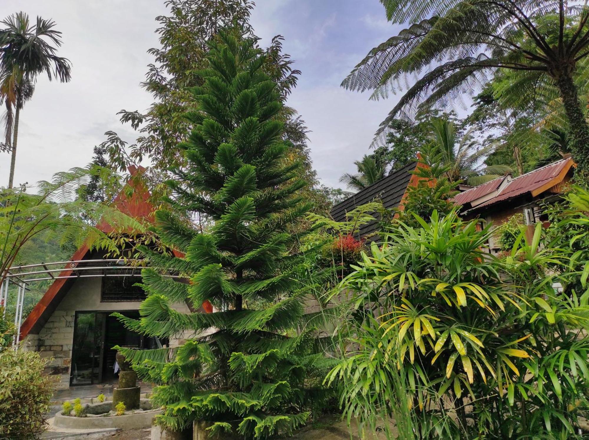 Goa Walet Cottage プラヤ エクステリア 写真