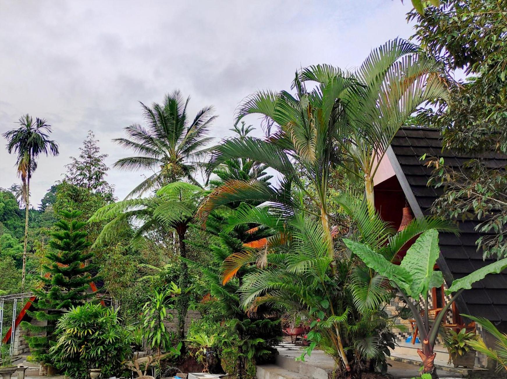 Goa Walet Cottage プラヤ エクステリア 写真